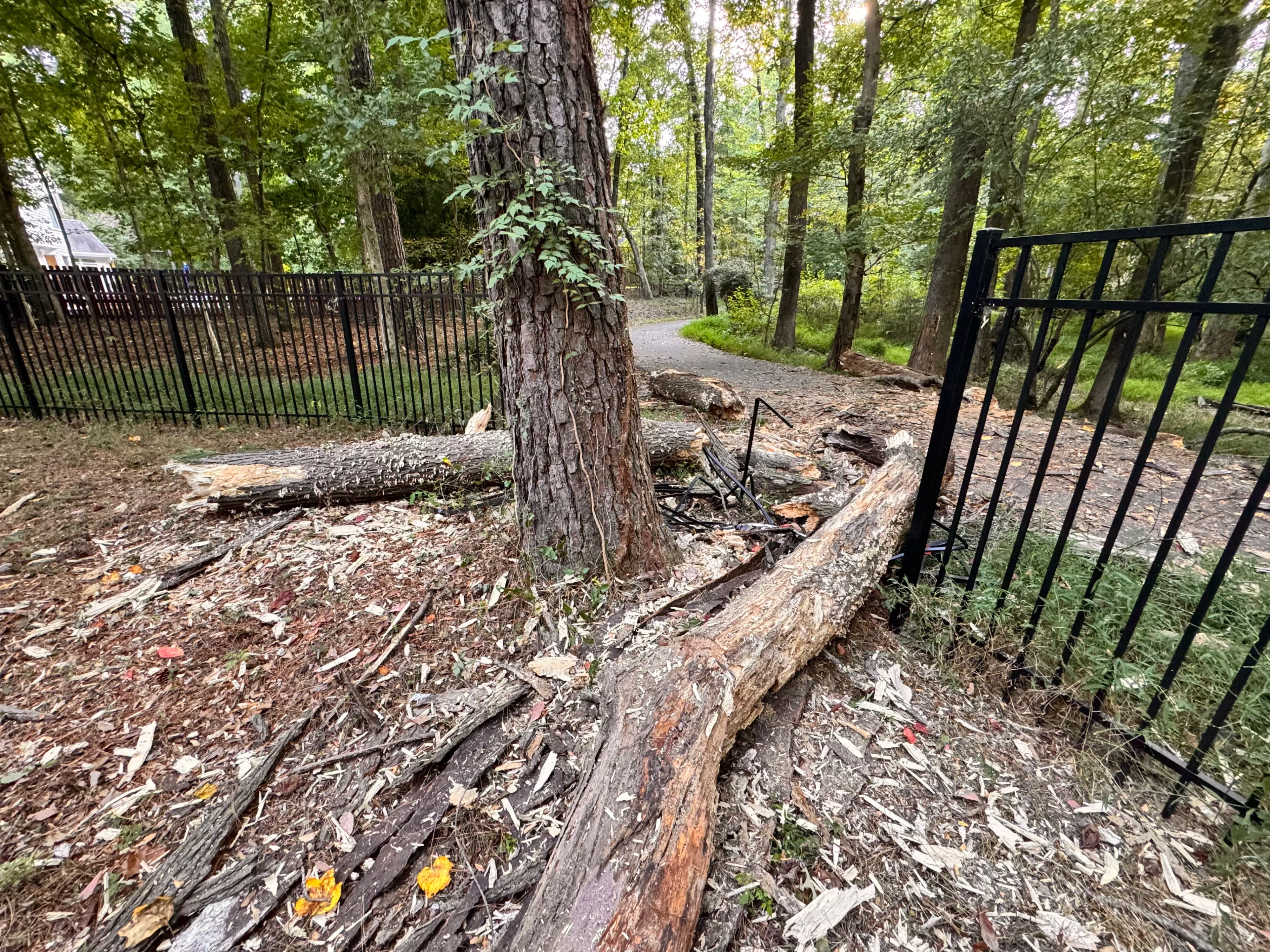 Project Storm Damage Aluminum Fence Repair in Peachtree City image