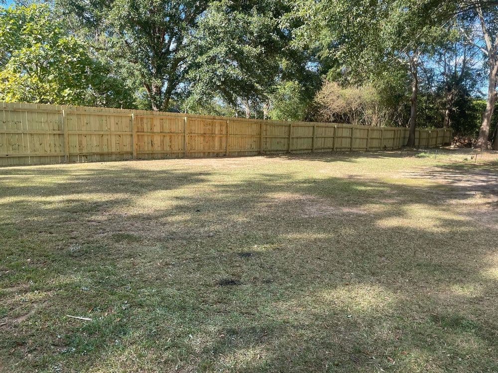 Spacious fenced yard with green grass and trees under bright sunlight. Ideal outdoor space.
