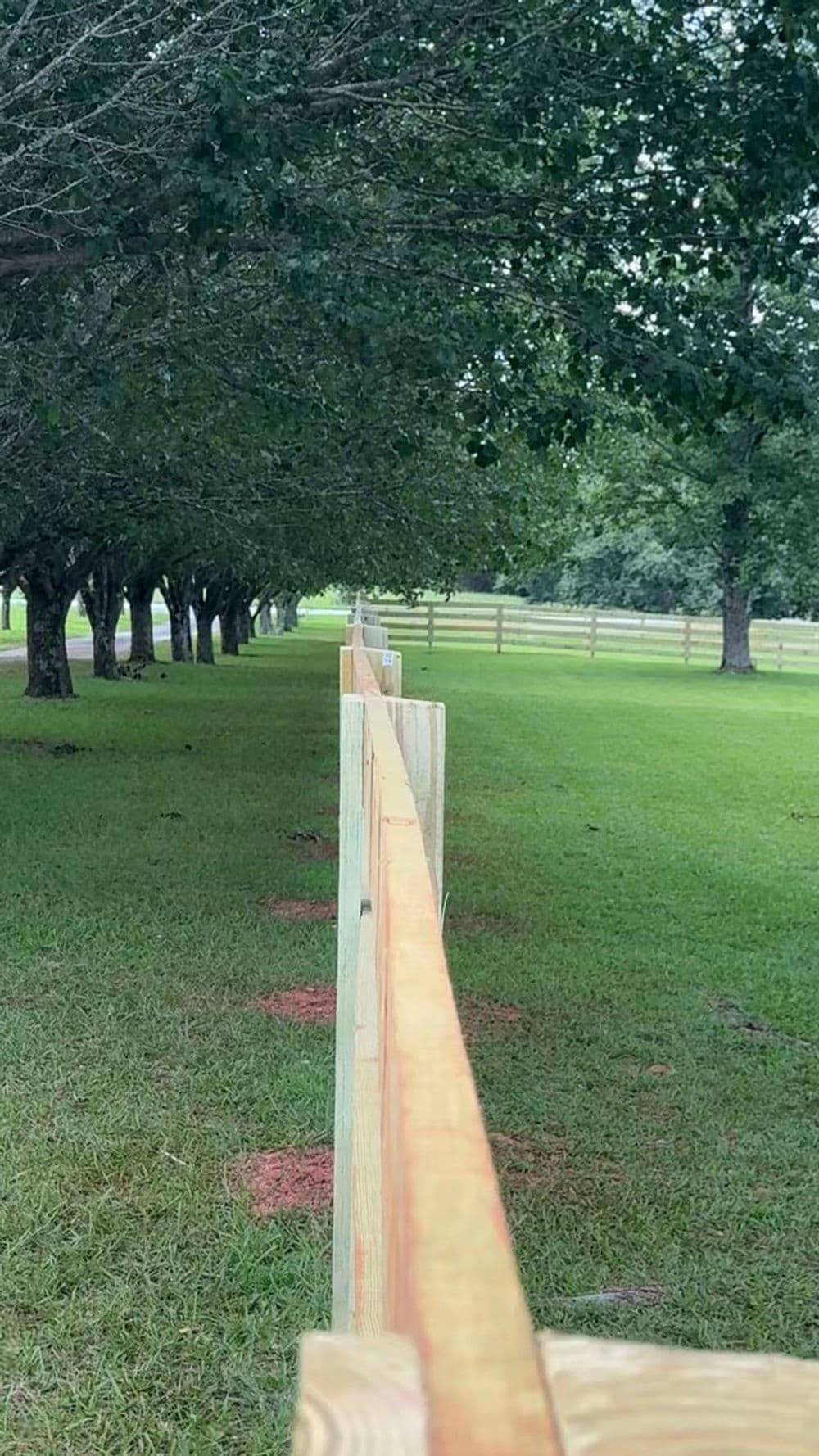 Wooden fence lined with trees along a lush green lawn in a rural landscape.