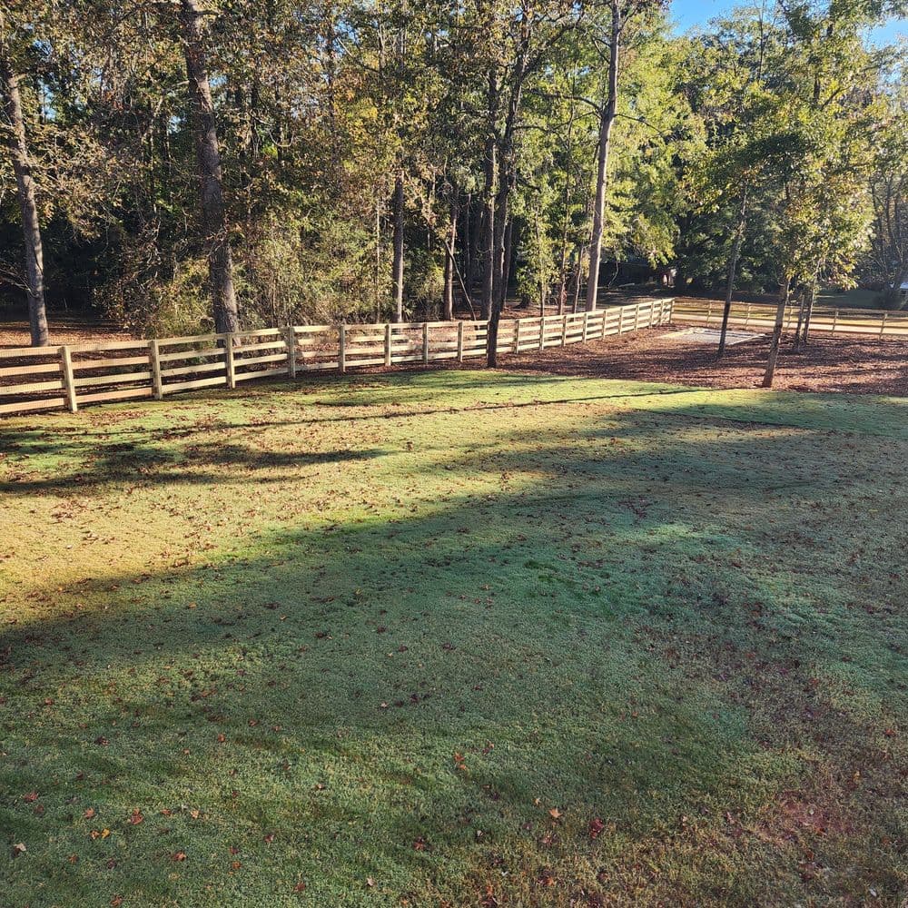 Lush green lawn with morning dew and wooden fence in a serene wooded landscape.
