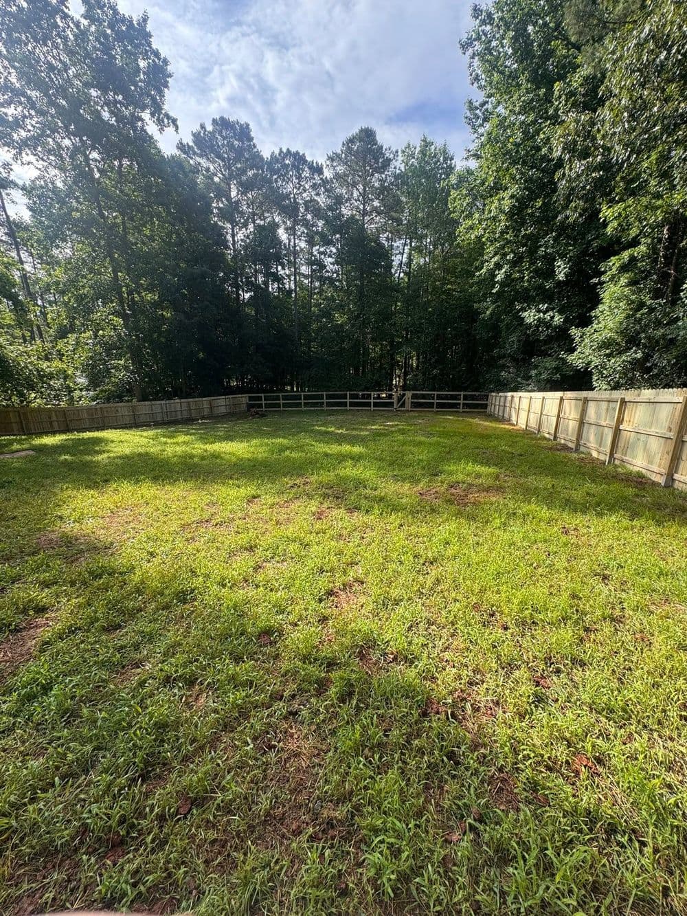 Spacious grassy backyard with wooden fence and trees in the background. Ideal for outdoor activities.