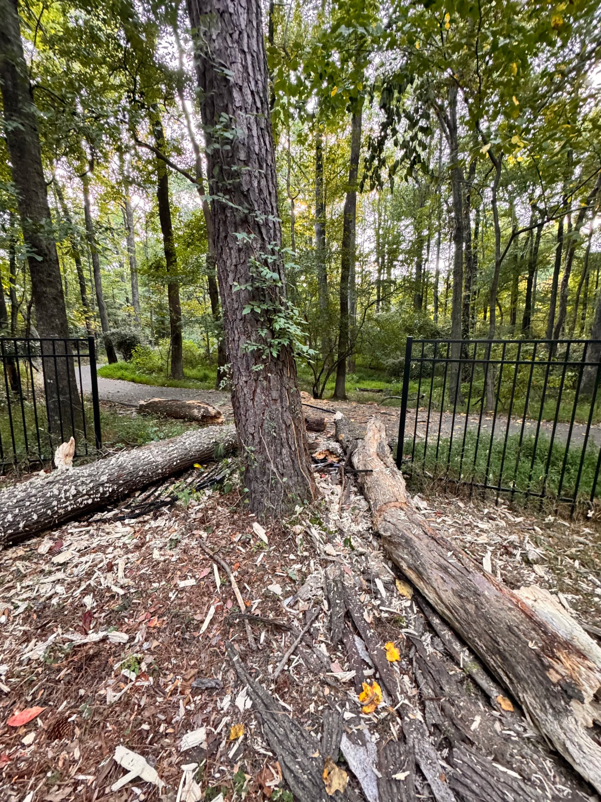 Gallery photos for Storm Damage Aluminum Fence Repair in Peachtree City: Image #1