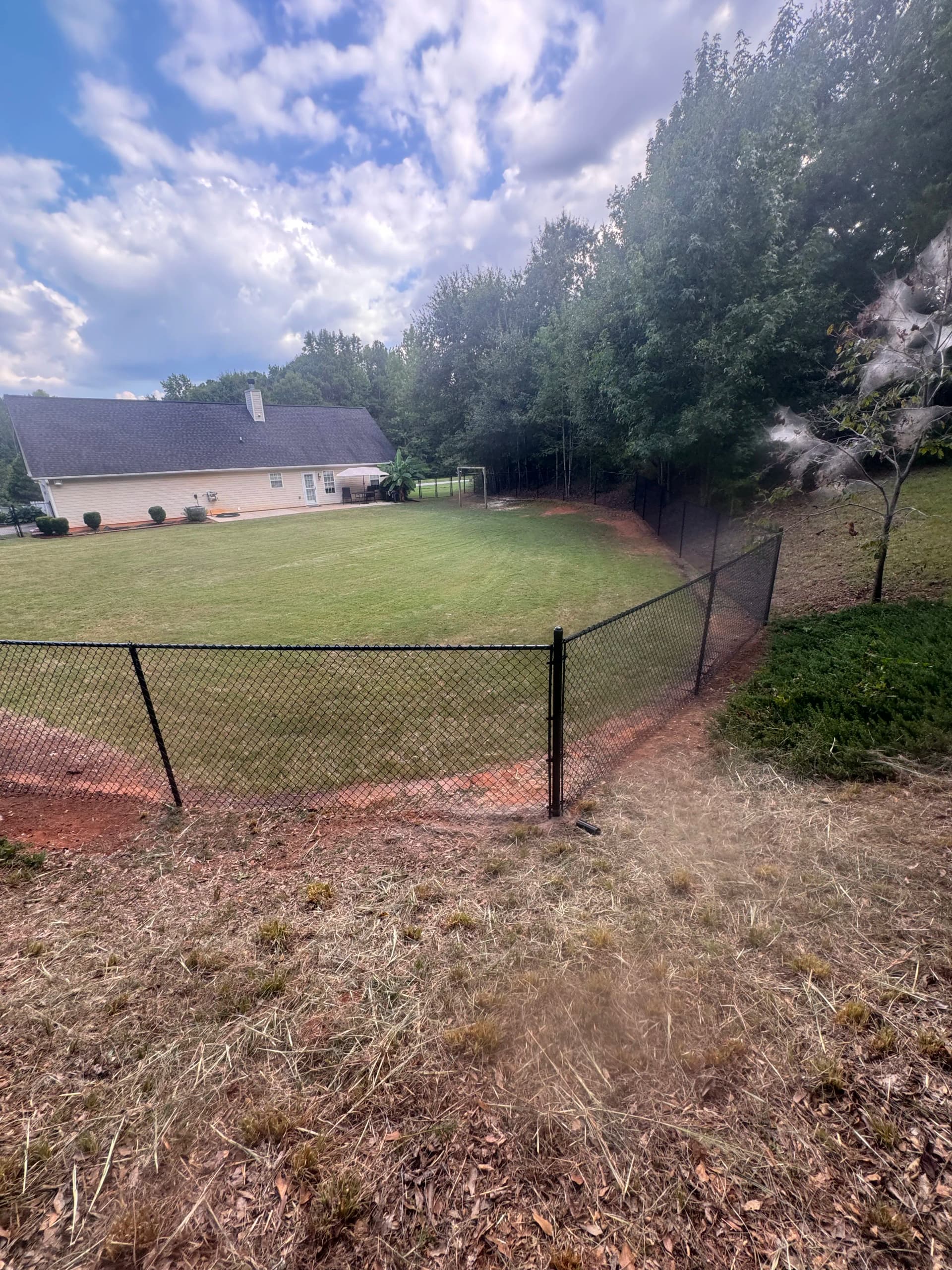 Gallery photos for 5-Foot Black Vinyl-Coated Chain Link Fence That Delivers: Image #2
